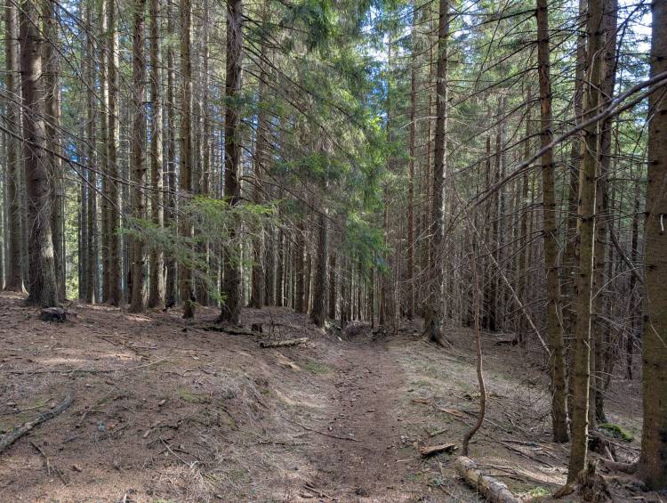 pxl_20250125_120525910.jpg pxl_20250125_120525910.jpg