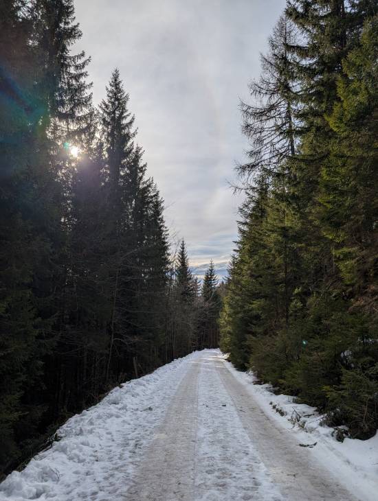 pxl_20250125_121242441.jpg pxl_20250125_121242441.jpg