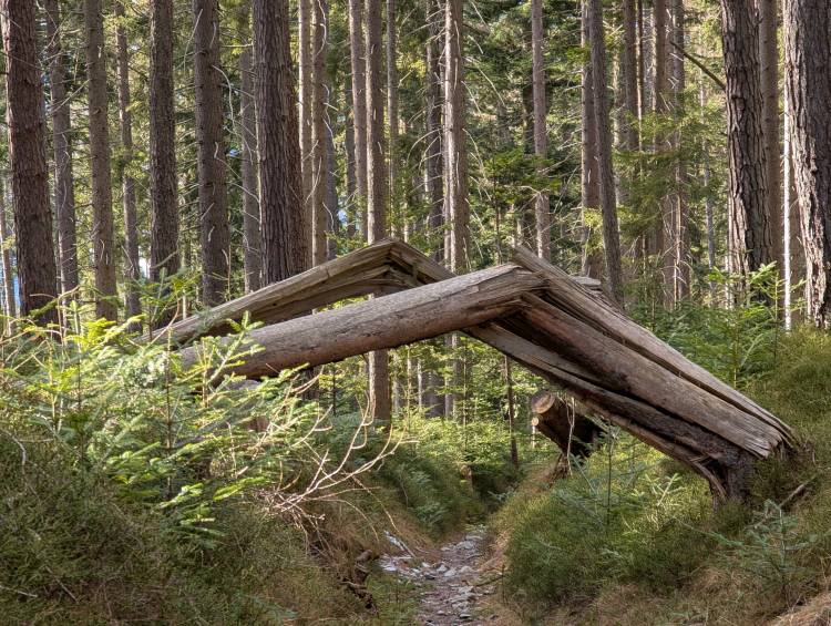 pxl_20250125_122940042.jpg pxl_20250125_122940042.jpg