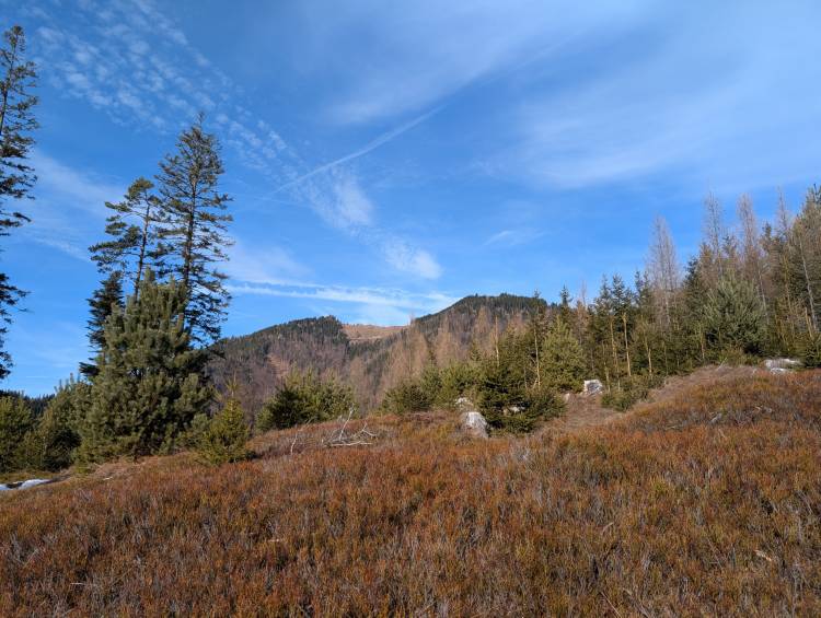 pxl_20250125_123904930.jpg pxl_20250125_123904930.jpg