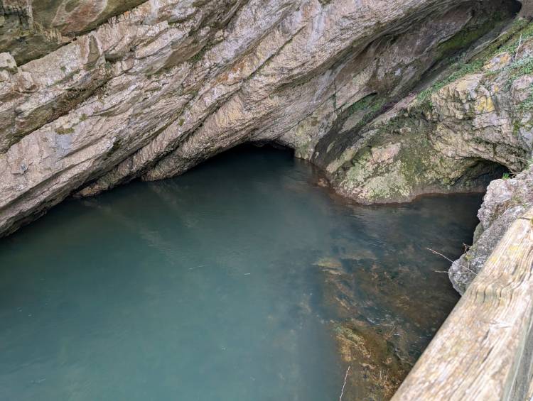 pxl_20250405_160228287.jpg pxl_20250405_160228287.jpg