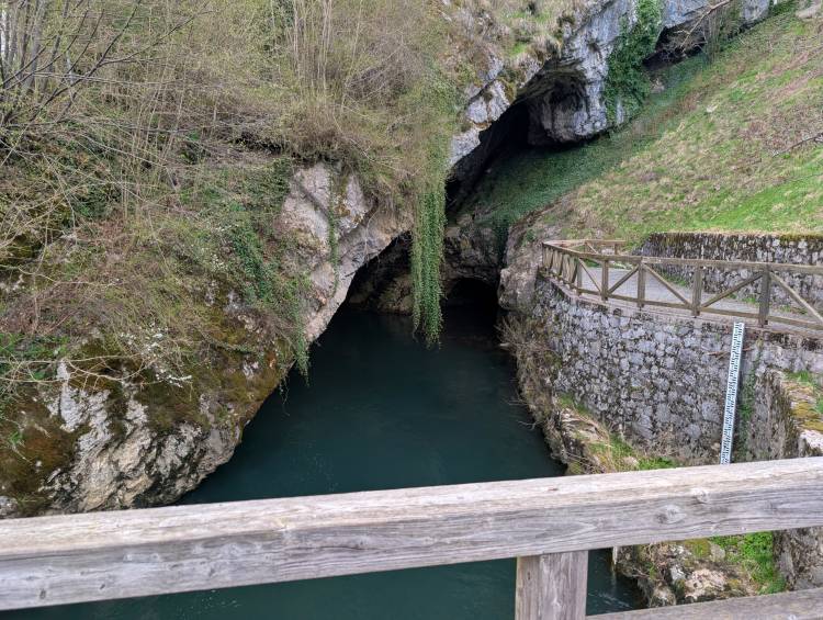 pxl_20250405_160323768.jpg pxl_20250405_160323768.jpg