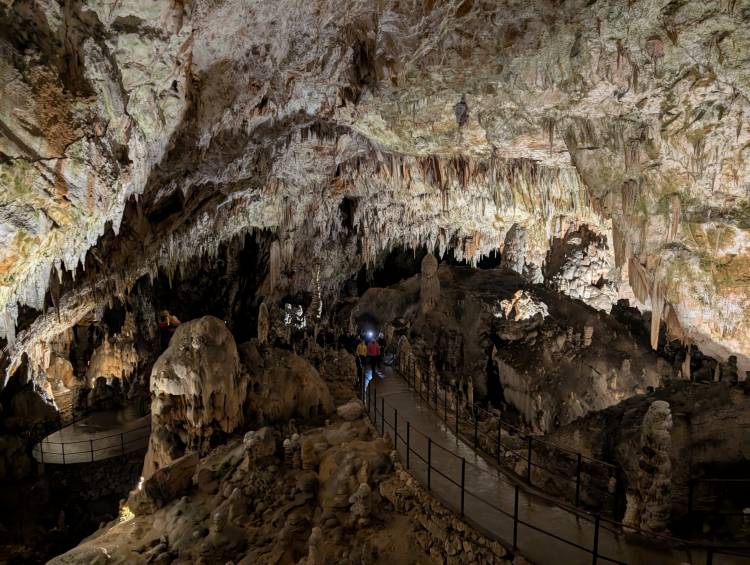 pxl_20250407_081241831.jpg pxl_20250407_081241831.jpg