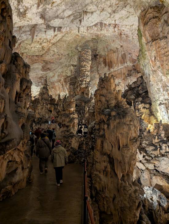 pxl_20250407_081318308.mp.jpg pxl_20250407_081318308.mp.jpg