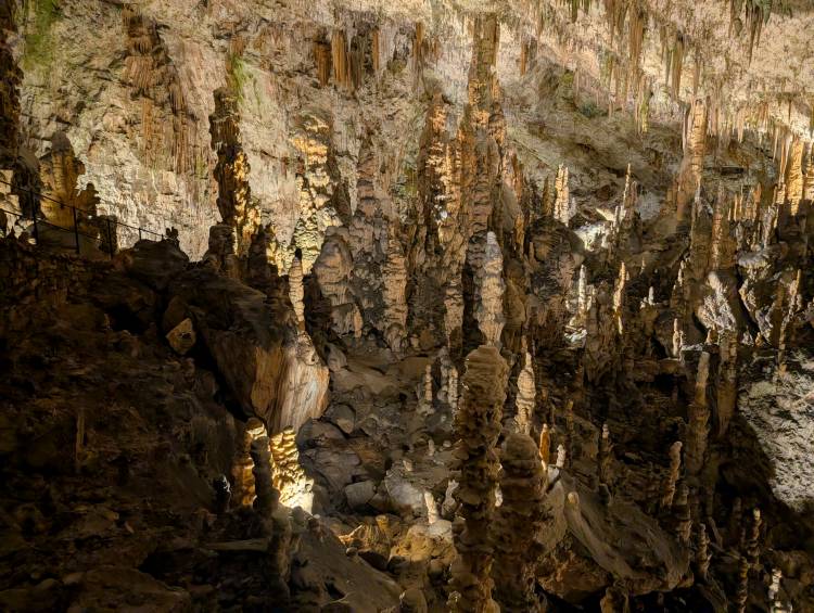 pxl_20250407_081814832.jpg pxl_20250407_081814832.jpg