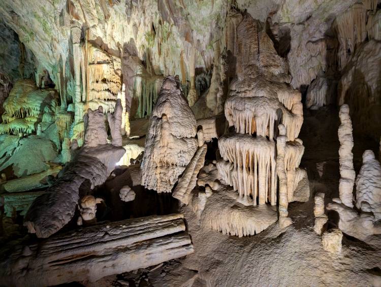 pxl_20250407_082742451.mp.jpg pxl_20250407_082742451.mp.jpg