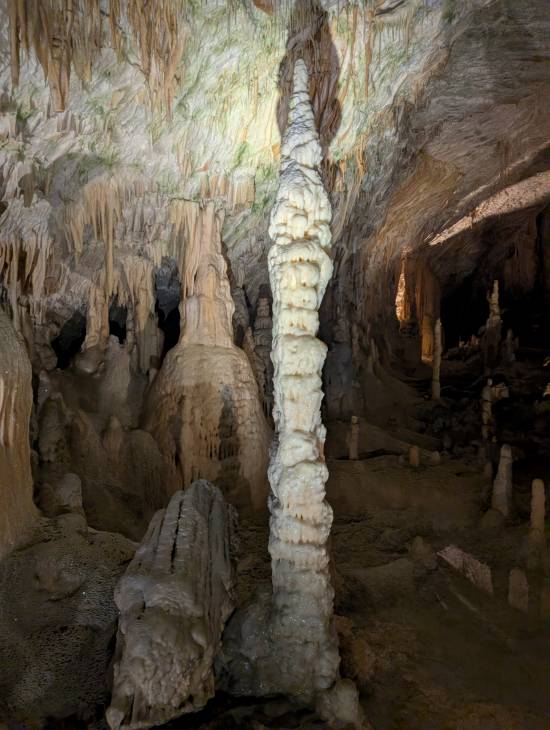 pxl_20250407_082812266.mp.jpg pxl_20250407_082812266.mp.jpg