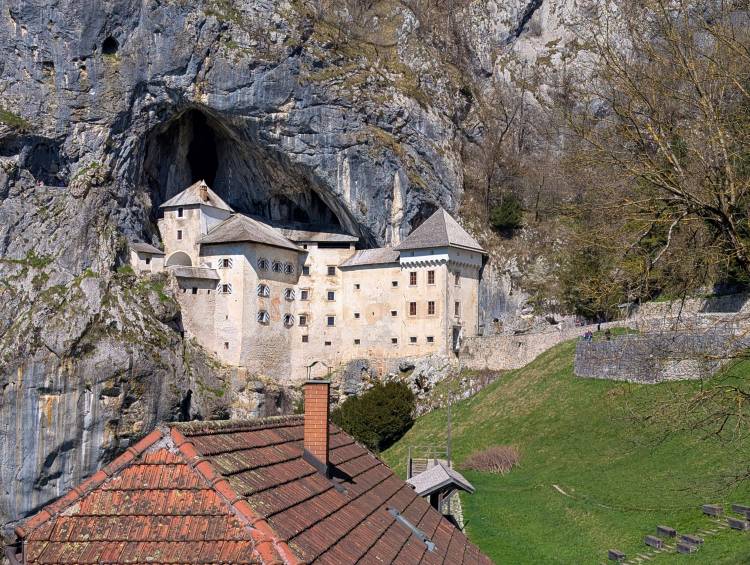 pxl_20250407_100103189.jpg pxl_20250407_100103189.jpg