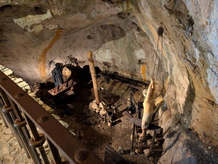 pxl_20250407_101952679.jpg pxl_20250407_101952679.jpg