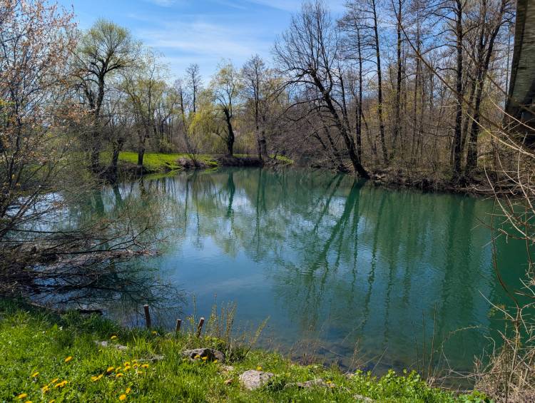 pxl_20250407_122551903.jpg pxl_20250407_122551903.jpg