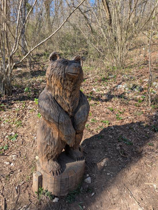 pxl_20250407_144610809.jpg pxl_20250407_144610809.jpg