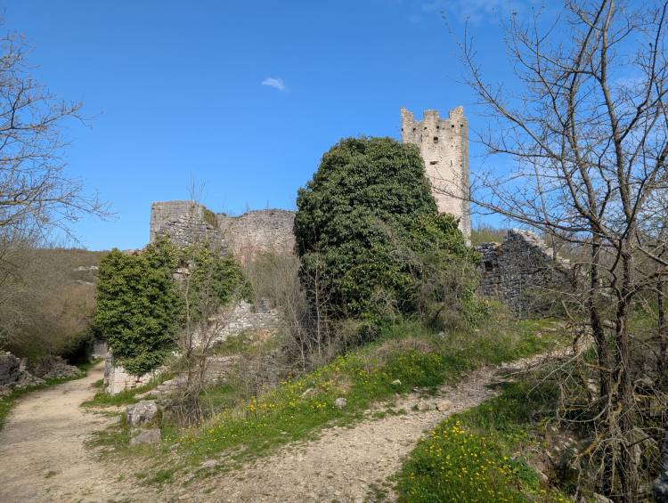 pxl_20250408_082634020.jpg pxl_20250408_082634020.jpg