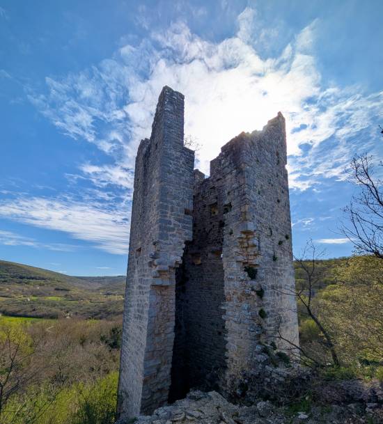 pxl_20250408_083658182.jpg pxl_20250408_083658182.jpg