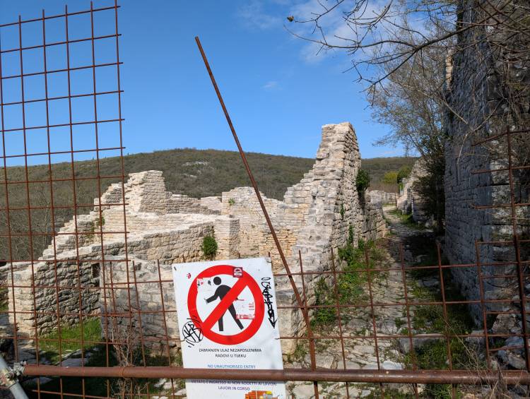 pxl_20250408_083910734.jpg pxl_20250408_083910734.jpg