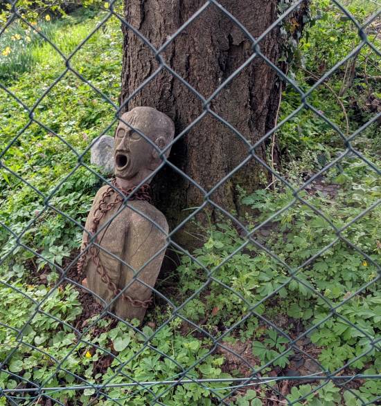 pxl_20250421_064952664.jpg pxl_20250421_064952664.jpg