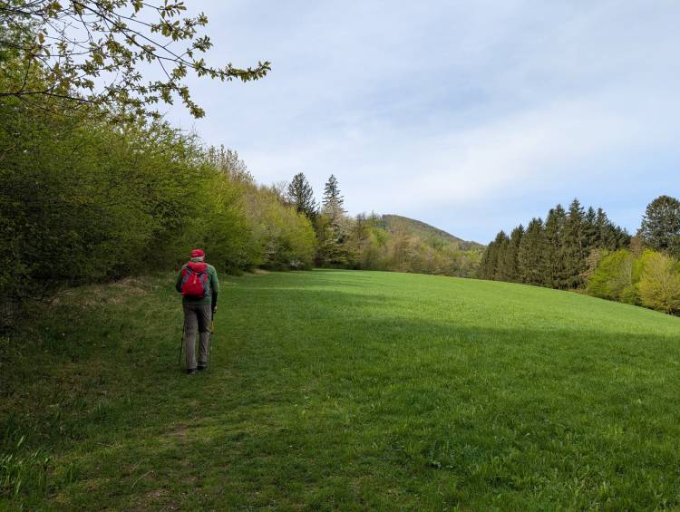 pxl_20250421_065339706.jpg pxl_20250421_065339706.jpg