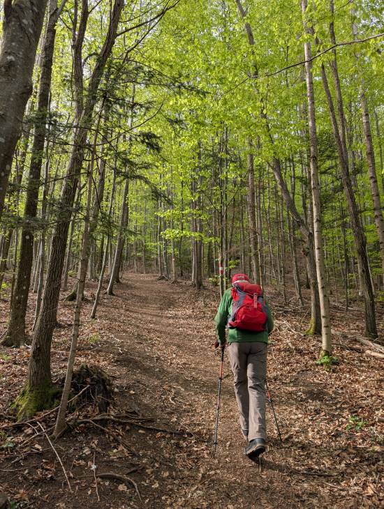 pxl_20250421_070119202.mp.jpg pxl_20250421_070119202.mp.jpg