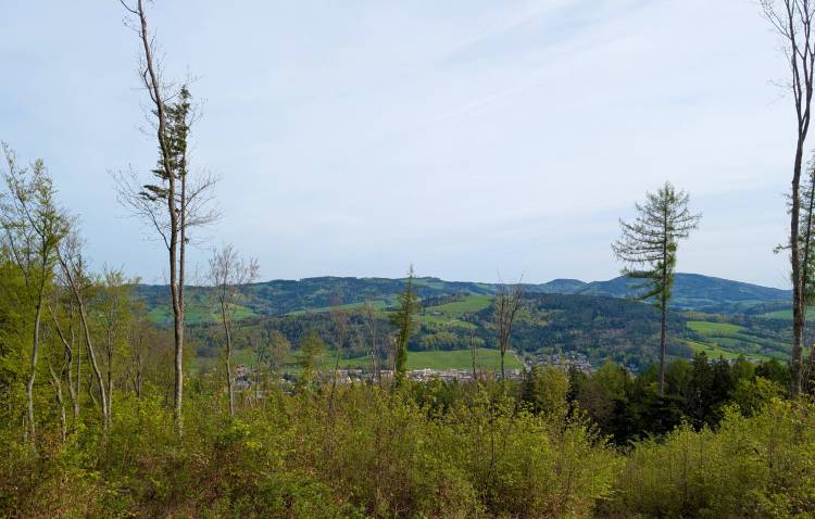 pxl_20250421_071818907.jpg pxl_20250421_071818907.jpg