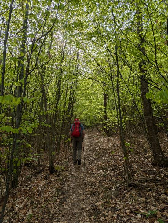 pxl_20250421_072215364.jpg pxl_20250421_072215364.jpg