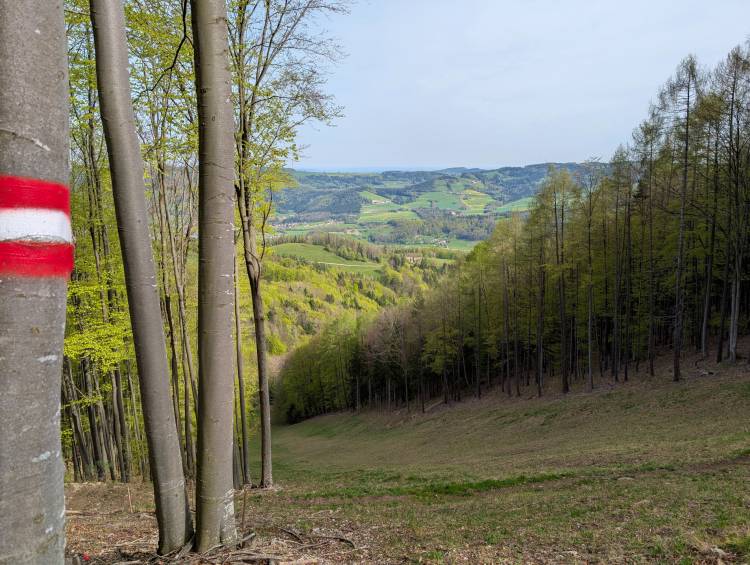 pxl_20250421_074601743.jpg pxl_20250421_074601743.jpg