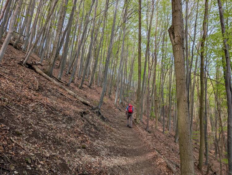 pxl_20250421_074722639.jpg pxl_20250421_074722639.jpg