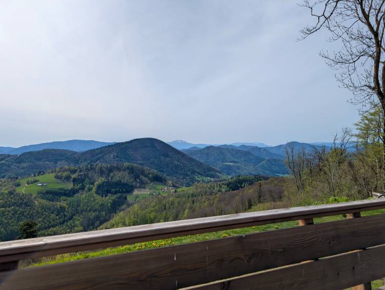 pxl_20250421_083422953.jpg pxl_20250421_083422953.jpg