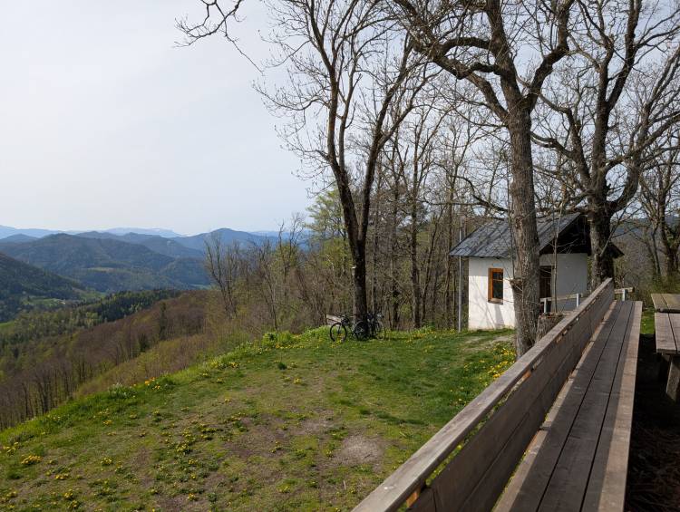 pxl_20250421_085204511.jpg pxl_20250421_085204511.jpg