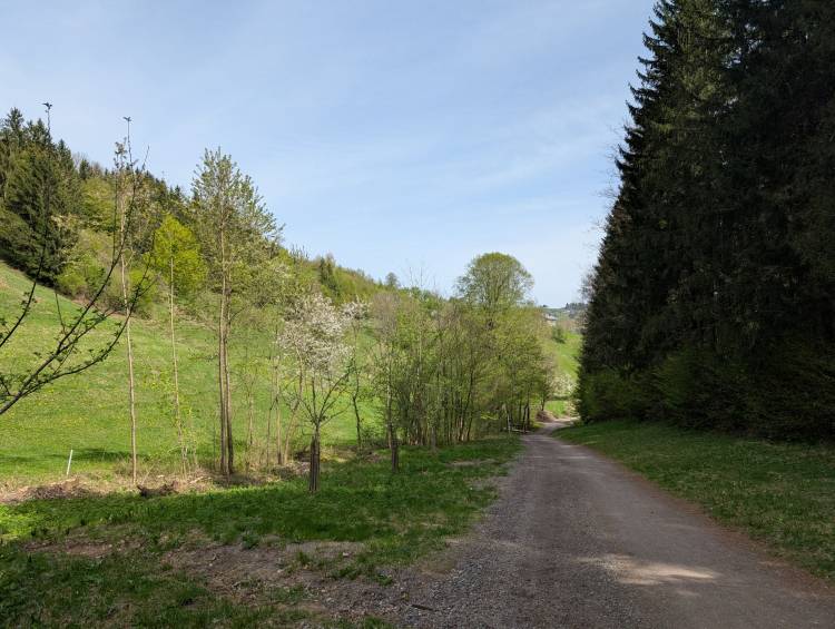 pxl_20250421_094401083.jpg pxl_20250421_094401083.jpg