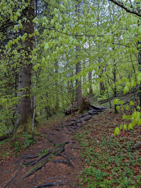 pxl_20250424_090147108.mp.jpg pxl_20250424_090147108.mp.jpg