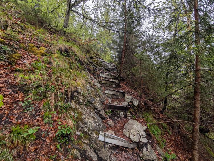 pxl_20250424_092344934.jpg pxl_20250424_092344934.jpg