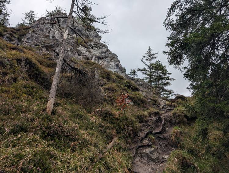 pxl_20250424_094958222.jpg pxl_20250424_094958222.jpg