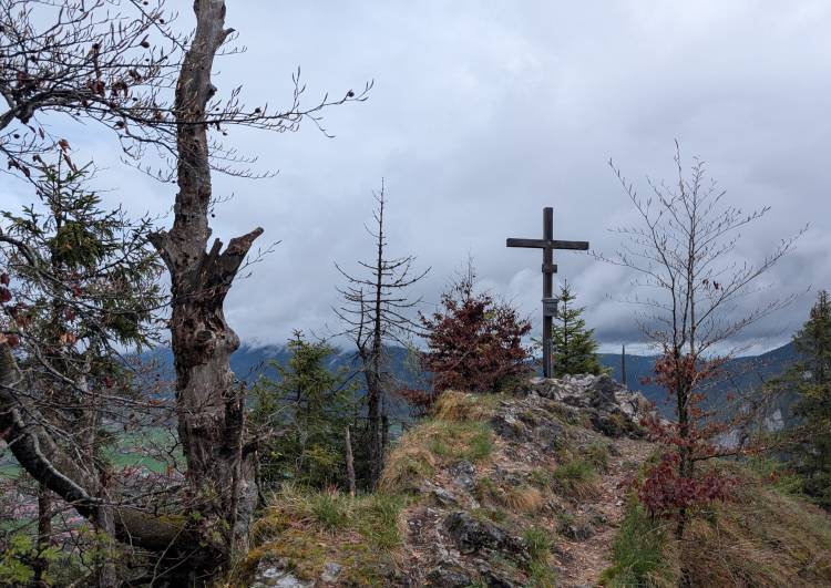 pxl_20250424_100440589.jpg pxl_20250424_100440589.jpg