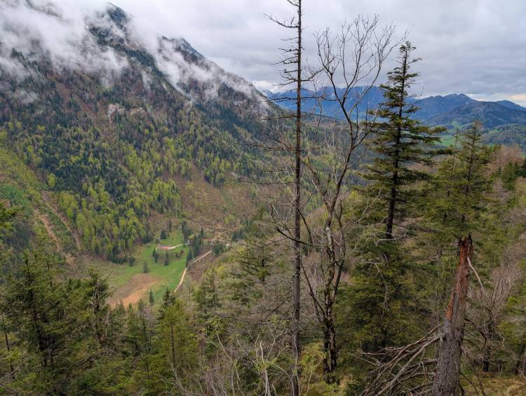 pxl_20250424_103200886.jpg pxl_20250424_103200886.jpg