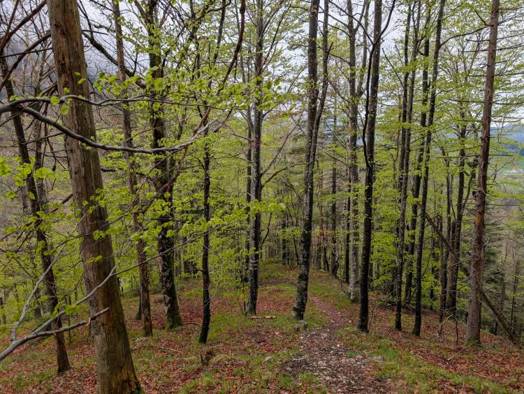 pxl_20250424_104755519.jpg pxl_20250424_104755519.jpg