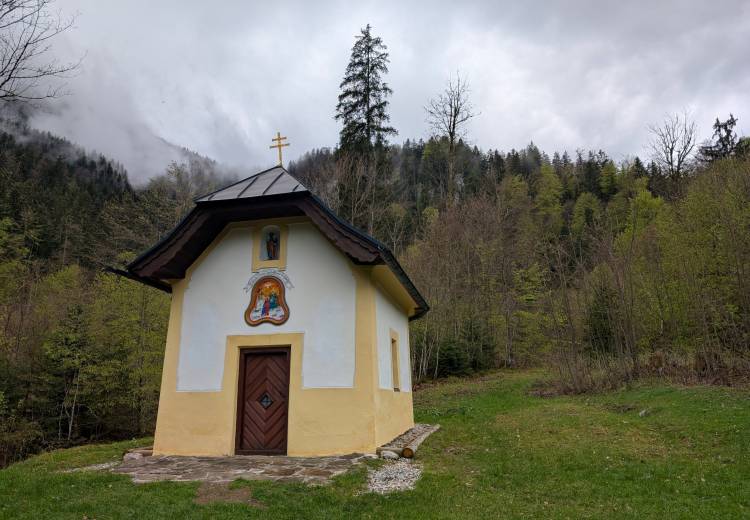 pxl_20250424_113115924.jpg pxl_20250424_113115924.jpg