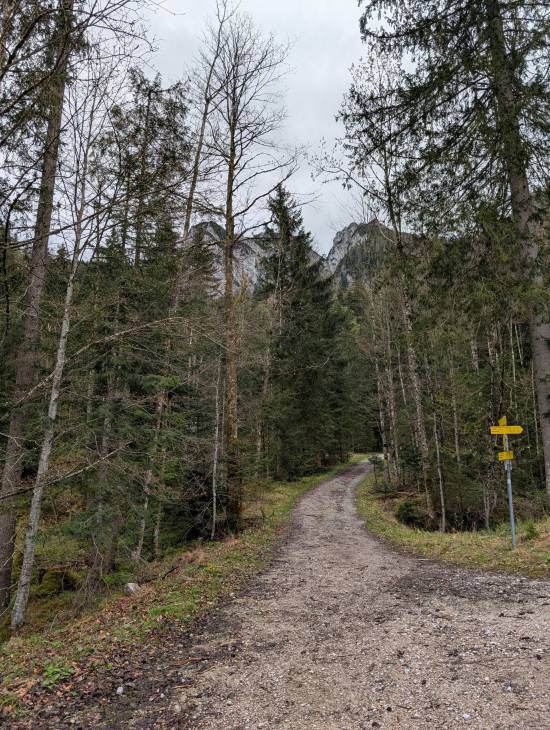 pxl_20250424_120652405.jpg pxl_20250424_120652405.jpg