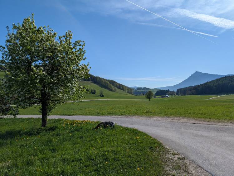 pxl_20250427_071630646.jpg pxl_20250427_071630646.jpg