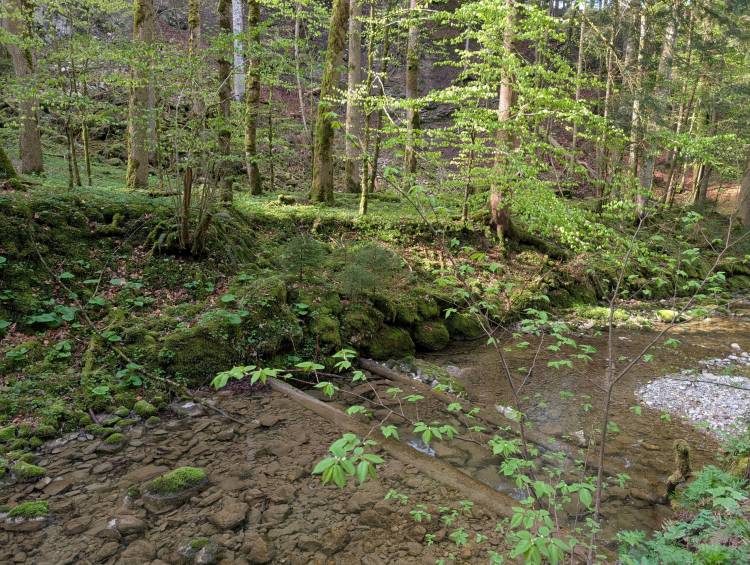 pxl_20250427_073516392.jpg pxl_20250427_073516392.jpg