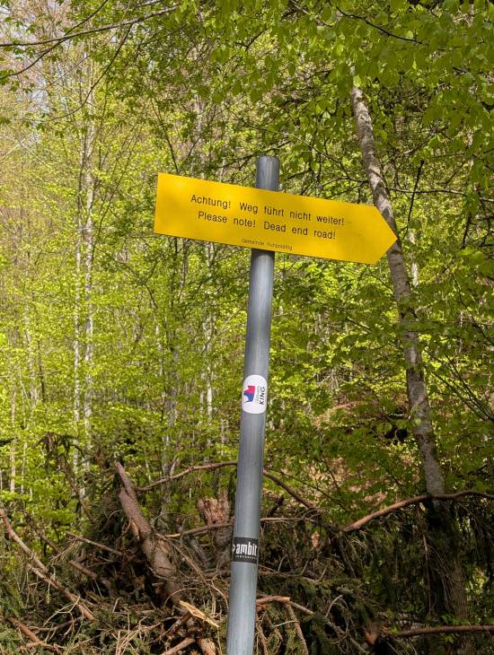 pxl_20250427_075846828.jpg pxl_20250427_075846828.jpg