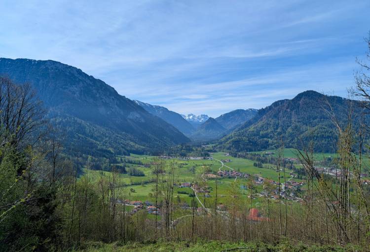 pxl_20250427_082407446.jpg pxl_20250427_082407446.jpg