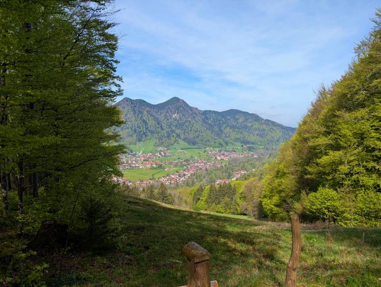 pxl_20250427_083533529.mp.jpg pxl_20250427_083533529.mp.jpg