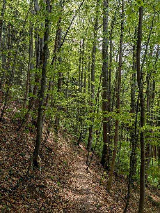 pxl_20250427_084026430.jpg pxl_20250427_084026430.jpg