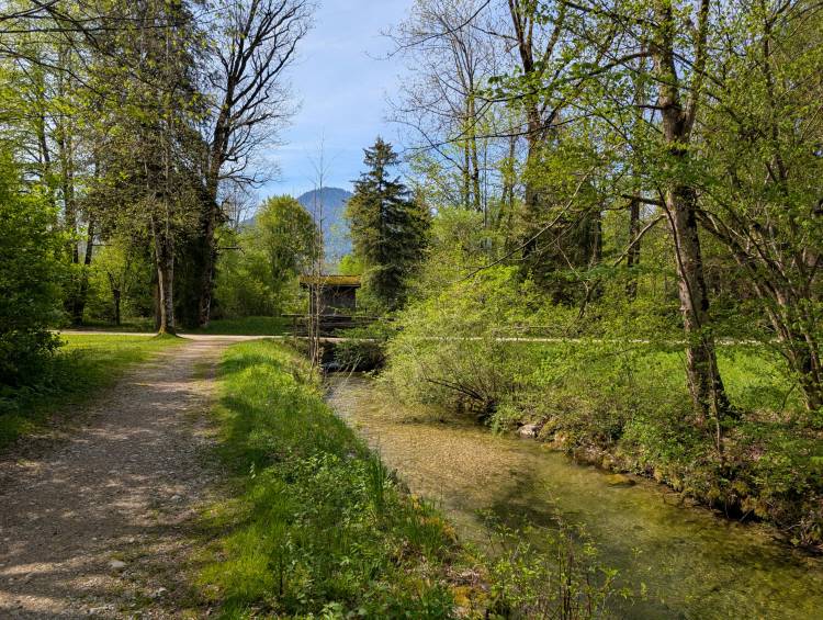 pxl_20250427_085753021.mp.jpg pxl_20250427_085753021.mp.jpg