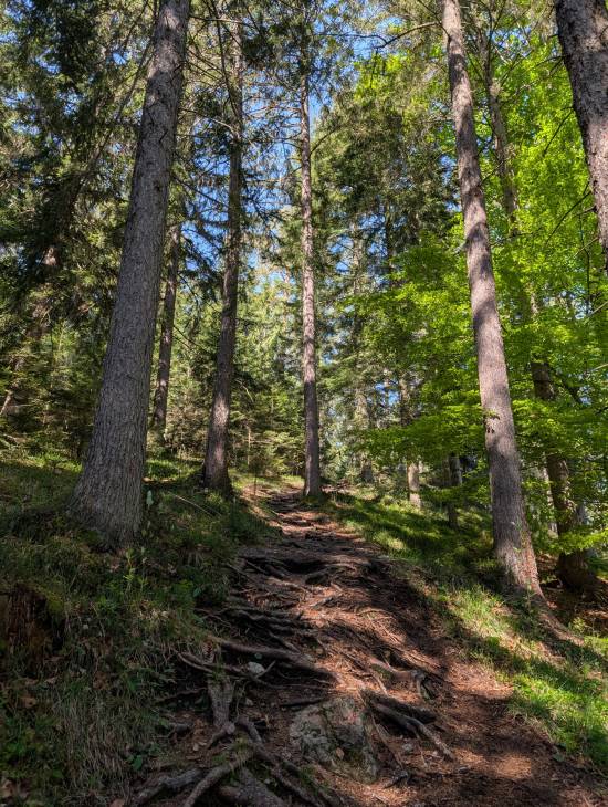 pxl_20250510_074737234.jpg pxl_20250510_074737234.jpg