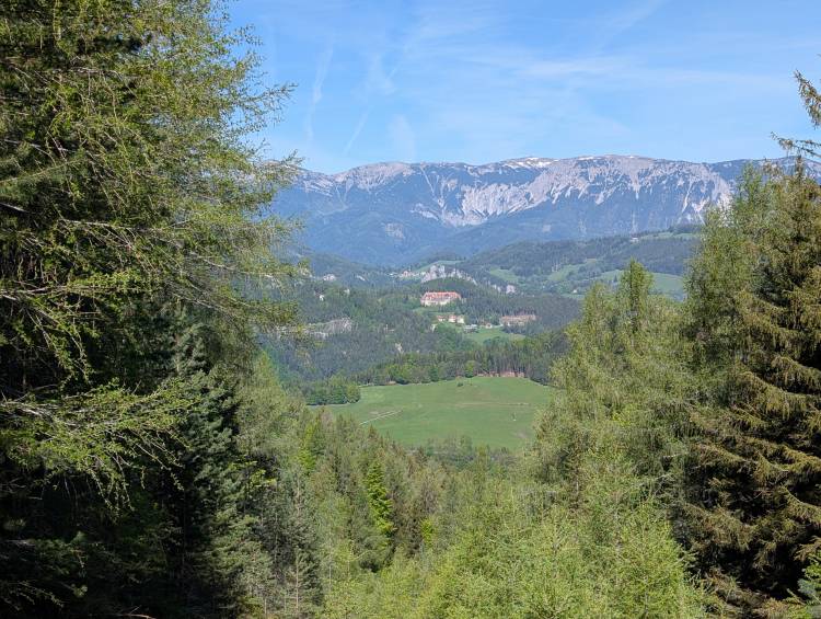 pxl_20250510_081219981.jpg pxl_20250510_081219981.jpg