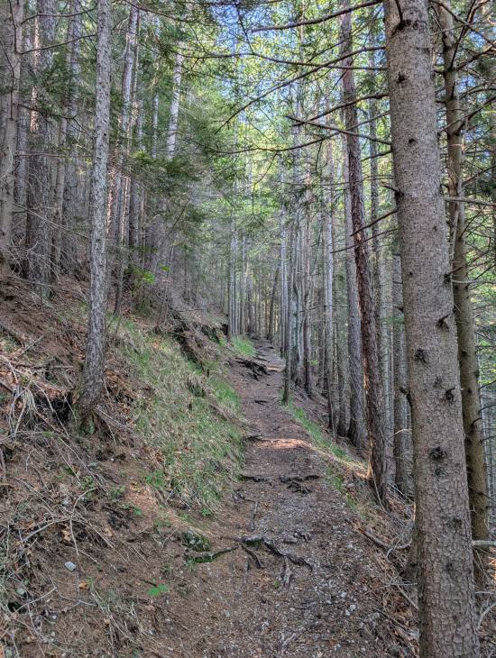 pxl_20250510_082226693.jpg pxl_20250510_082226693.jpg