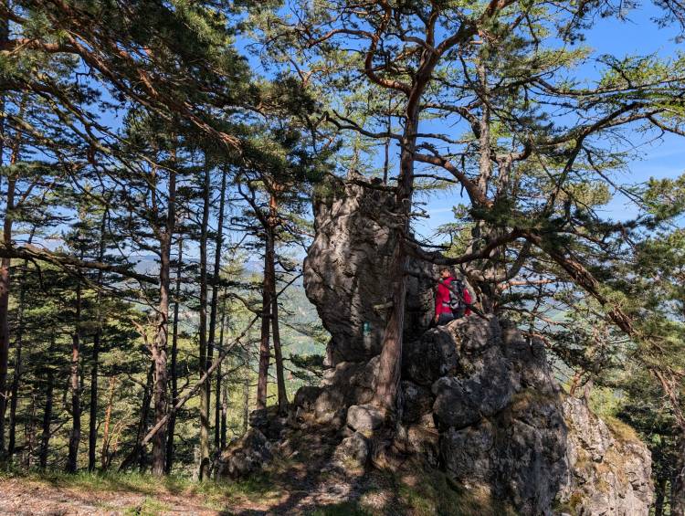 pxl_20250510_083648461.jpg pxl_20250510_083648461.jpg