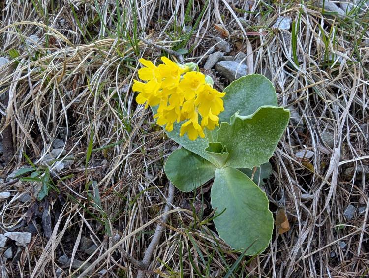 pxl_20250510_084016872.jpg pxl_20250510_084016872.jpg