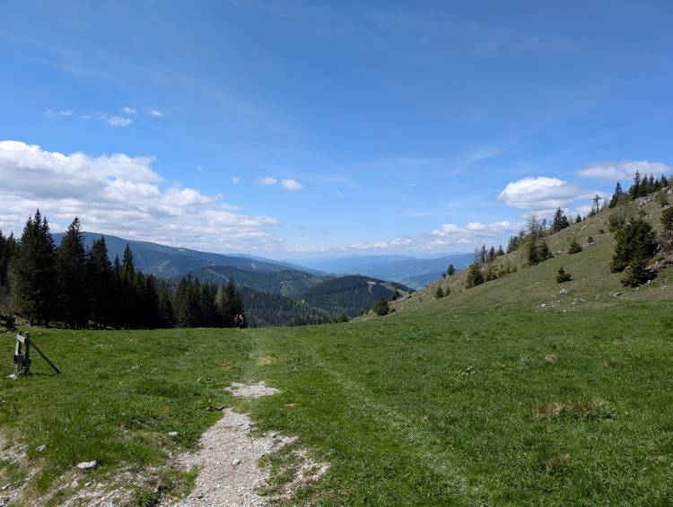 pxl_20250510_100001493.jpg pxl_20250510_100001493.jpg