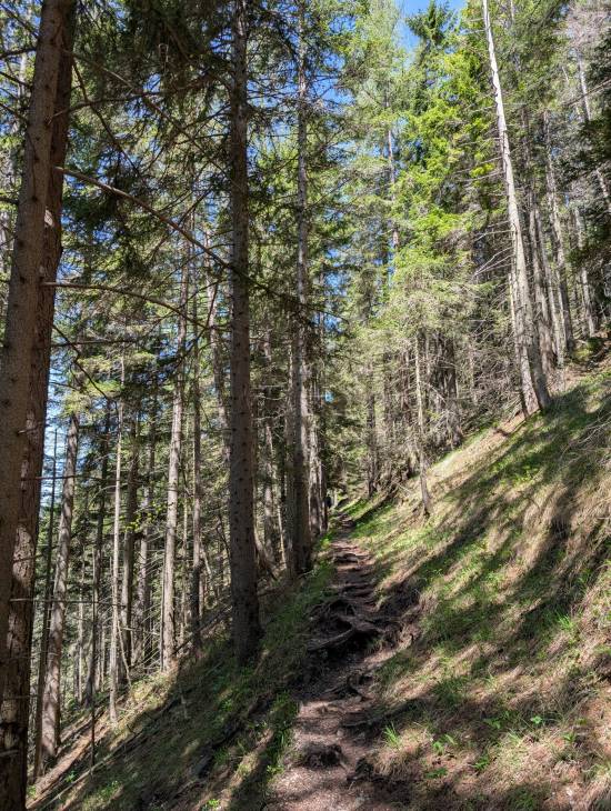 pxl_20250510_101858588.jpg pxl_20250510_101858588.jpg